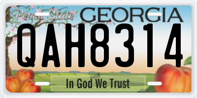 GA license plate QAH8314