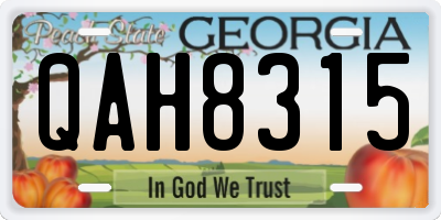 GA license plate QAH8315