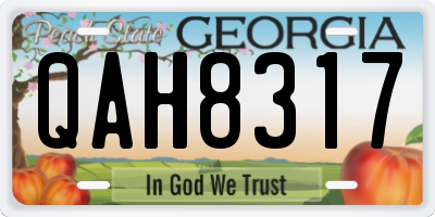 GA license plate QAH8317