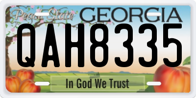 GA license plate QAH8335