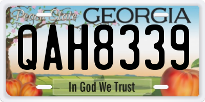 GA license plate QAH8339