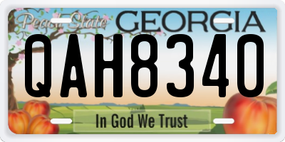GA license plate QAH8340