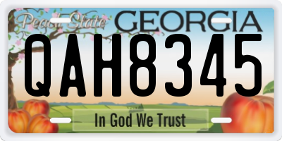 GA license plate QAH8345