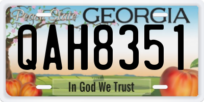 GA license plate QAH8351