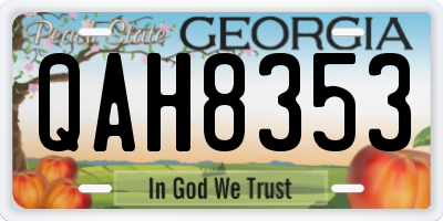 GA license plate QAH8353