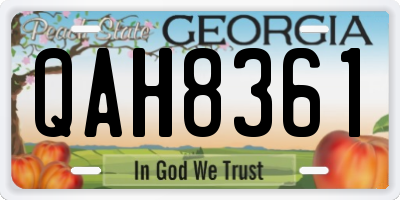 GA license plate QAH8361