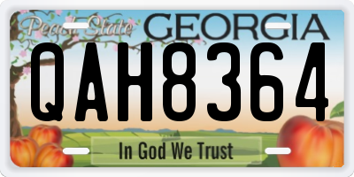 GA license plate QAH8364