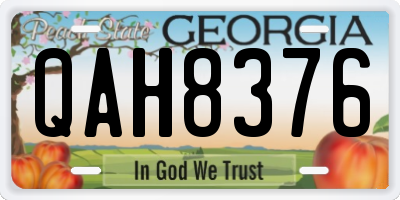 GA license plate QAH8376