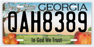GA license plate QAH8389