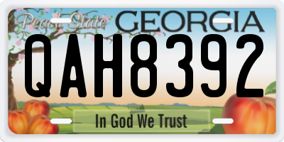 GA license plate QAH8392