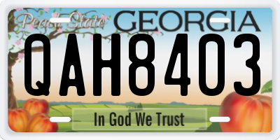 GA license plate QAH8403