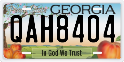 GA license plate QAH8404