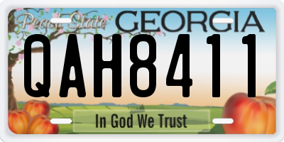GA license plate QAH8411