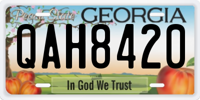 GA license plate QAH8420