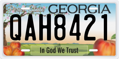 GA license plate QAH8421