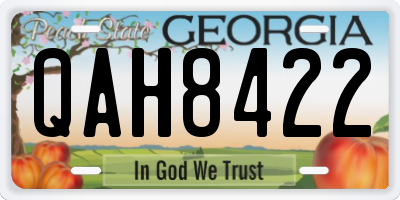 GA license plate QAH8422