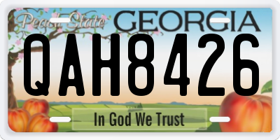 GA license plate QAH8426