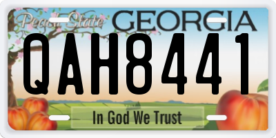 GA license plate QAH8441