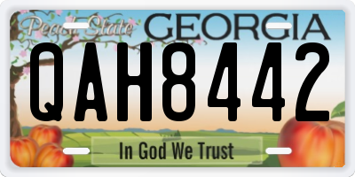 GA license plate QAH8442