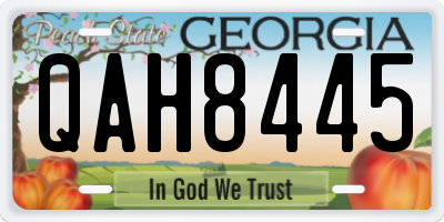 GA license plate QAH8445