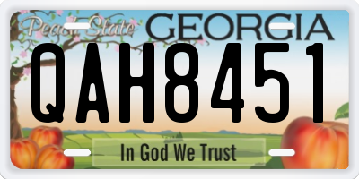 GA license plate QAH8451