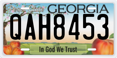 GA license plate QAH8453