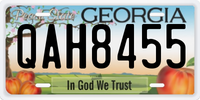 GA license plate QAH8455