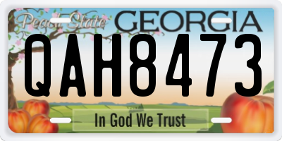 GA license plate QAH8473
