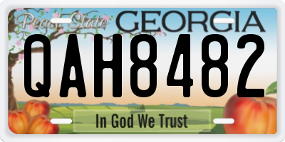 GA license plate QAH8482