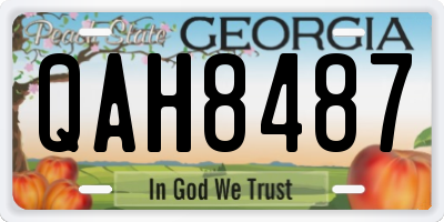 GA license plate QAH8487