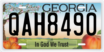 GA license plate QAH8490