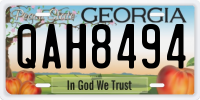 GA license plate QAH8494