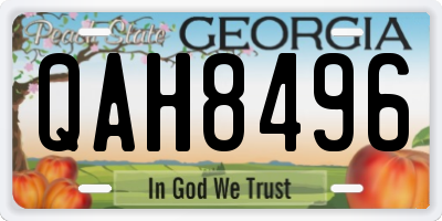 GA license plate QAH8496