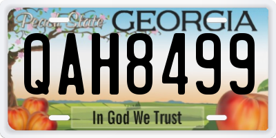 GA license plate QAH8499