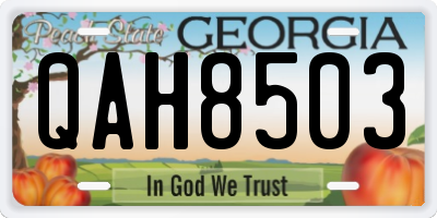GA license plate QAH8503