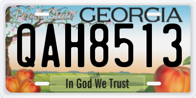 GA license plate QAH8513