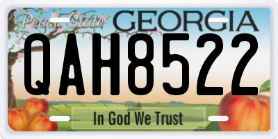 GA license plate QAH8522