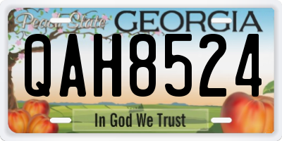 GA license plate QAH8524