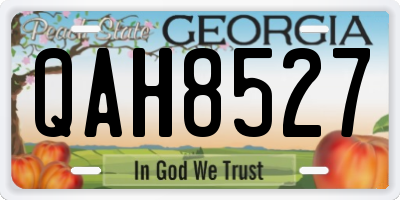 GA license plate QAH8527