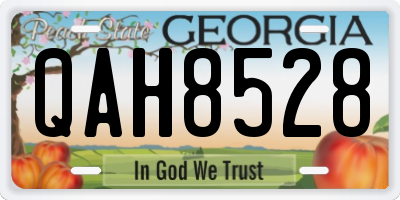 GA license plate QAH8528