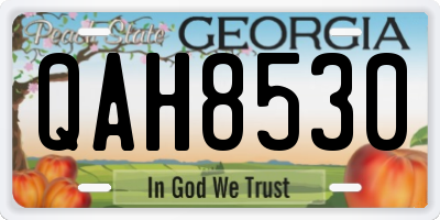 GA license plate QAH8530