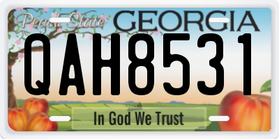 GA license plate QAH8531