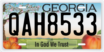 GA license plate QAH8533