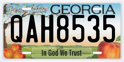 GA license plate QAH8535