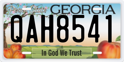 GA license plate QAH8541