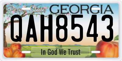 GA license plate QAH8543
