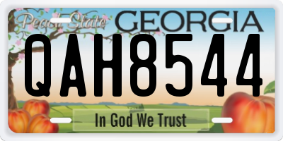 GA license plate QAH8544