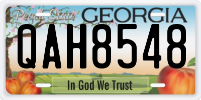 GA license plate QAH8548