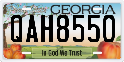 GA license plate QAH8550