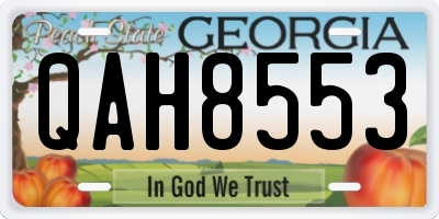 GA license plate QAH8553